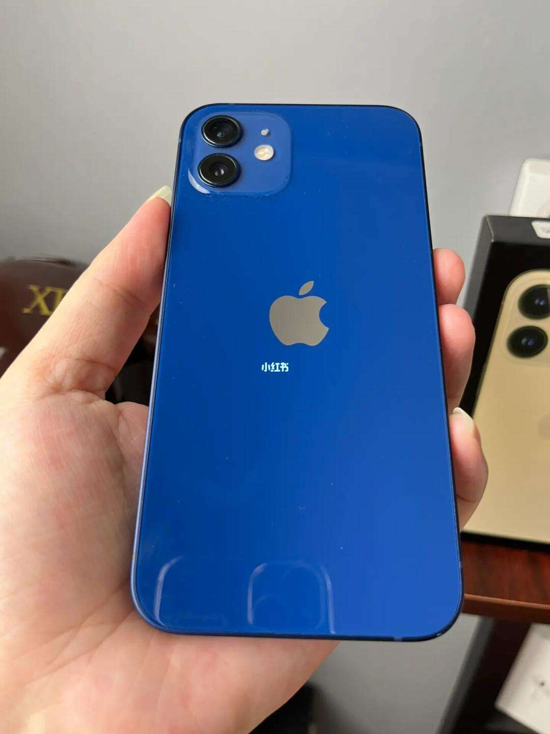 12苹果国版俄罗斯iphone13视频-第2张图片-太平洋在线下载