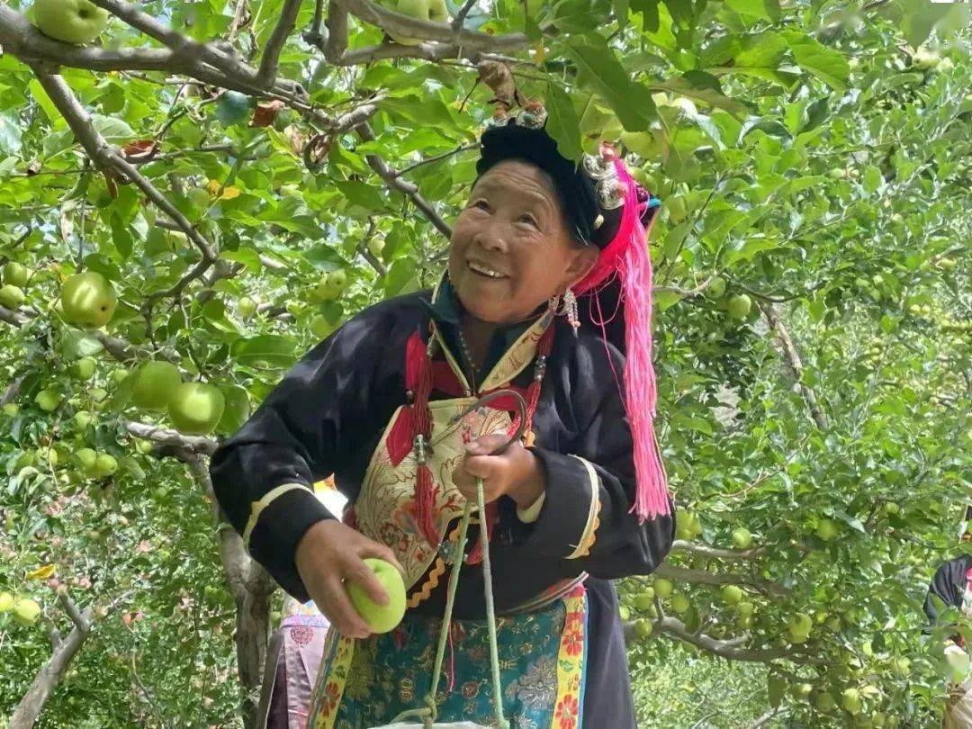 藏版小苹果电影苹果电影未删版-第1张图片-太平洋在线下载