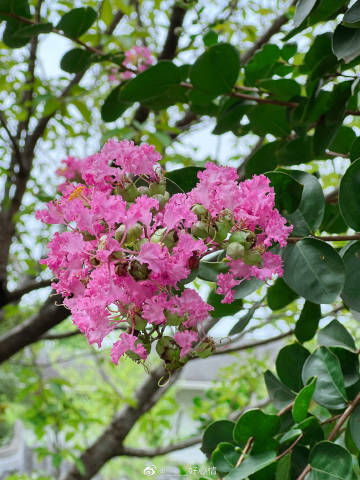 时光小屋苹果版下载时光小屋电脑版下载官网-第2张图片-太平洋在线下载