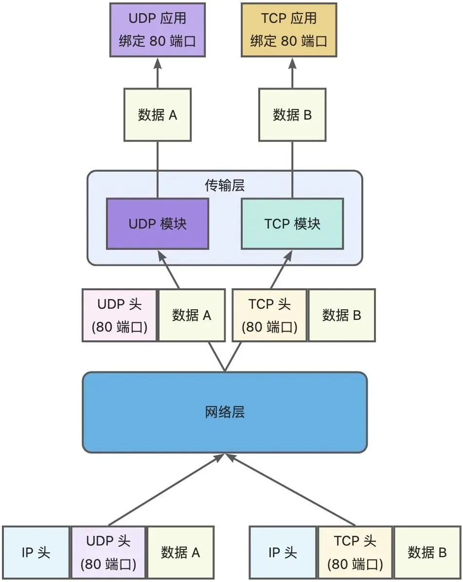 tcp客户端socket绑定tcpsocket和udpsocket