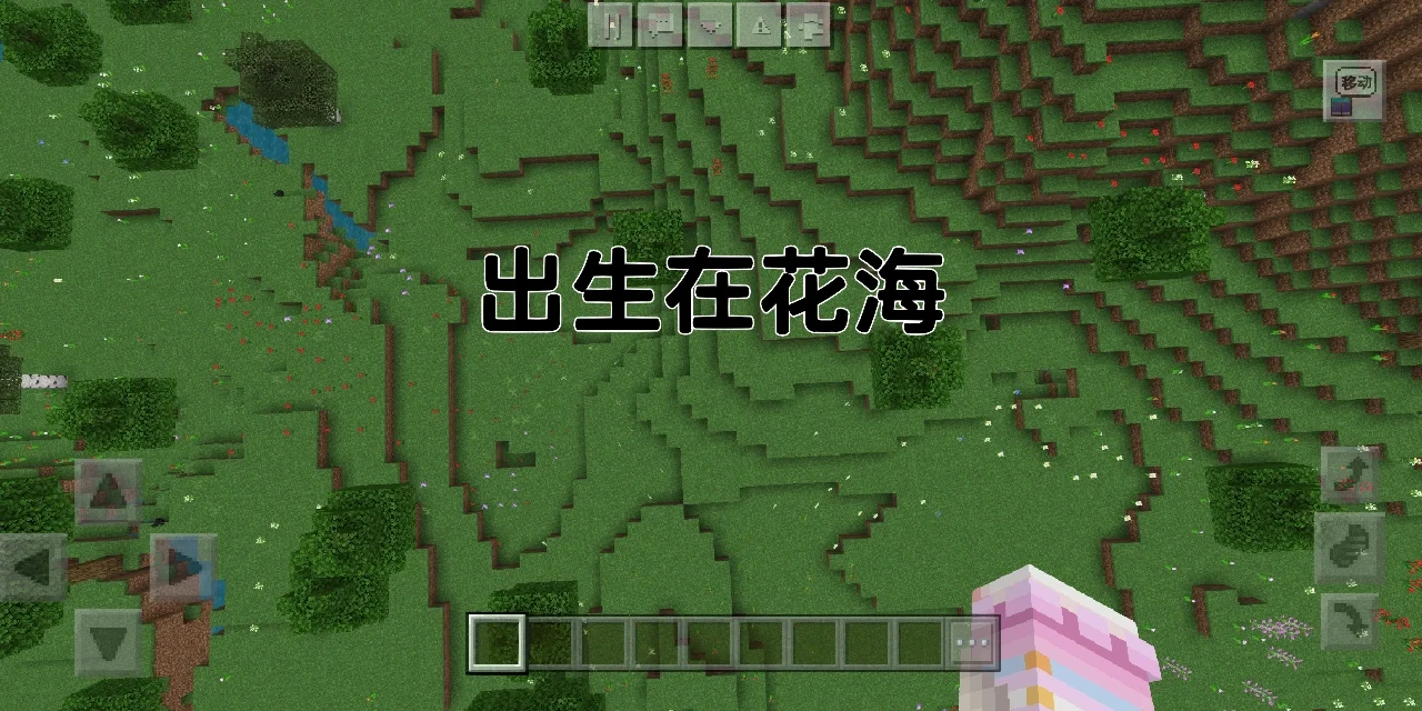 我的世界种子手机版我的世界种子码超富村庄