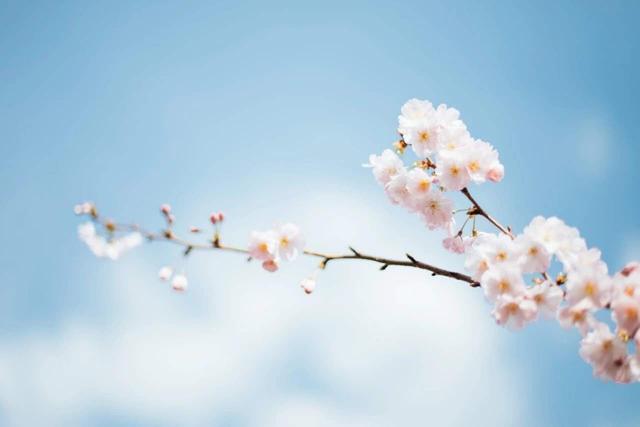苹果版枝聊苹果app官网下载-第3张图片-太平洋在线下载