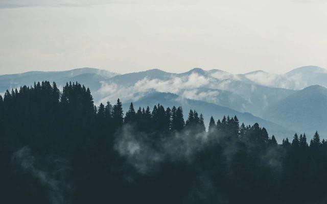 苹果版枝聊苹果app官网下载-第6张图片-太平洋在线下载