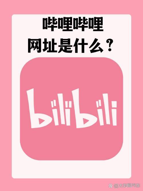 安卓网页版b站wwwbookingcn