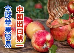 乐都行苹果版乐都城app下载-第2张图片-太平洋在线下载
