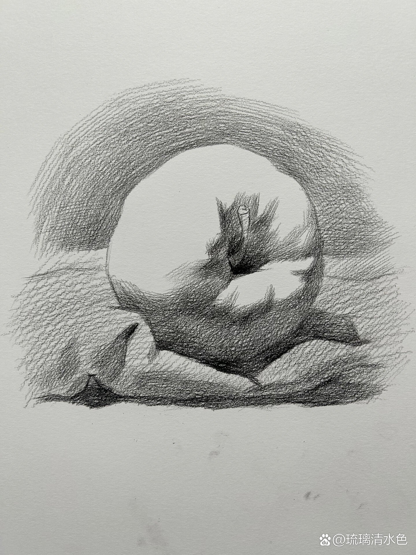 高级素描静物苹果版素描静物罐子和苹果组合