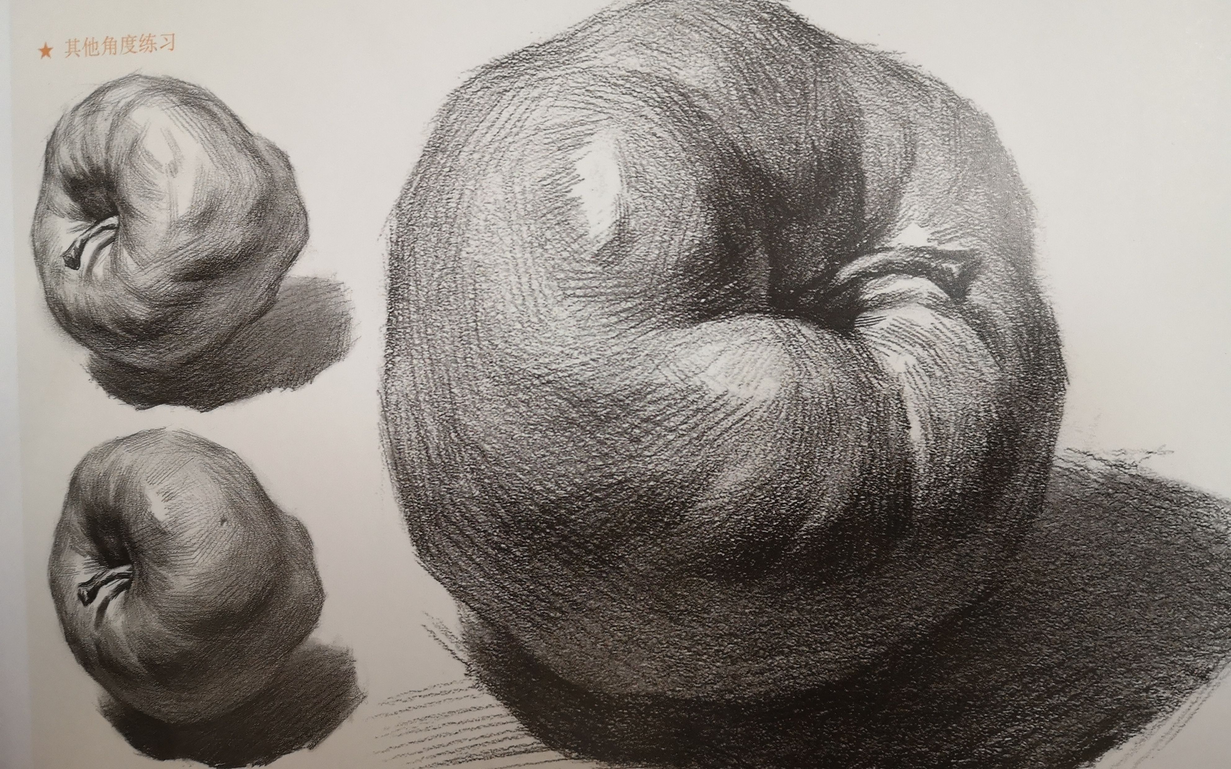 高级素描静物苹果版素描静物罐子和苹果组合-第2张图片-太平洋在线下载